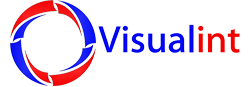 visualint logo
