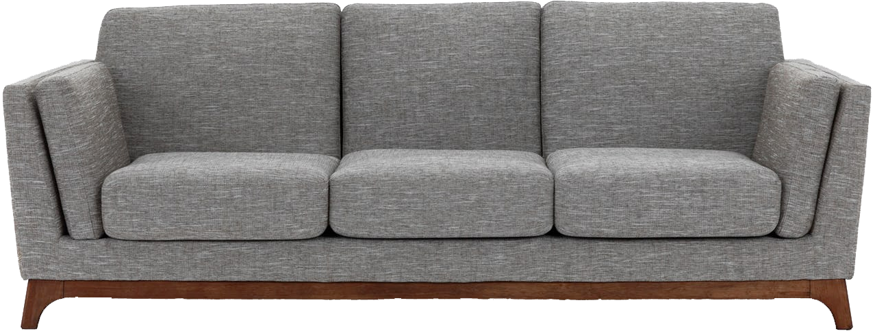 Text that appears when image does not show